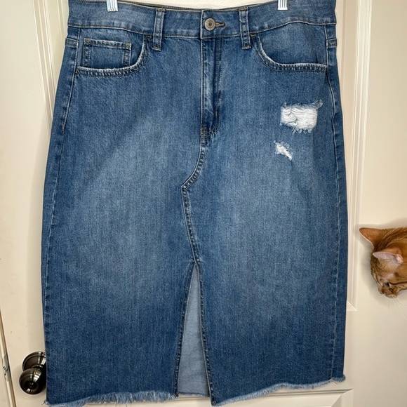 Dark Wash Denim Midi Skirt - Picture 5 of 17